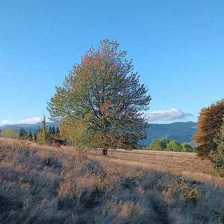 Vikendica Zlatni Hrast Jahorina Ferienhaus *